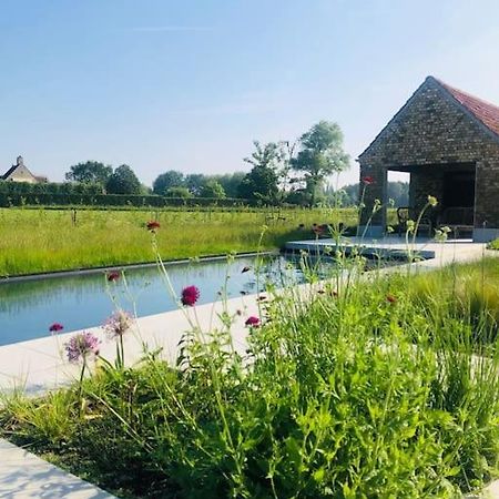 Schuurloft Hof Ten Bogaerde Met Biozwembad, Veldzicht & Uilennest Jabbeke (West-Flanders) Exterior foto