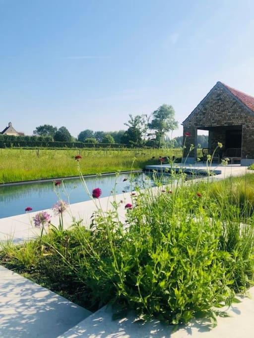 Schuurloft Hof Ten Bogaerde Met Biozwembad, Veldzicht & Uilennest Jabbeke (West-Flanders) Exterior foto
